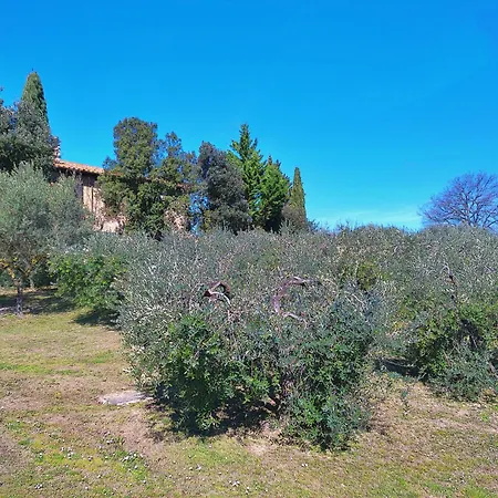 Bed & Breakfast La Collina Dei Venti Gualdo Cattaneo