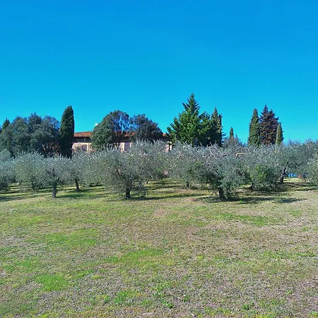 La Collina Dei Venti * Gualdo Cattaneo
