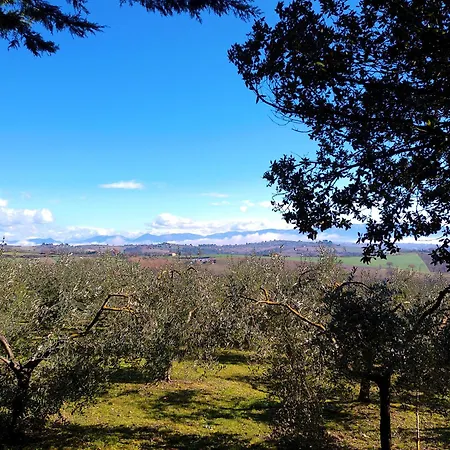 La Collina Dei Venti Bed & Breakfast *