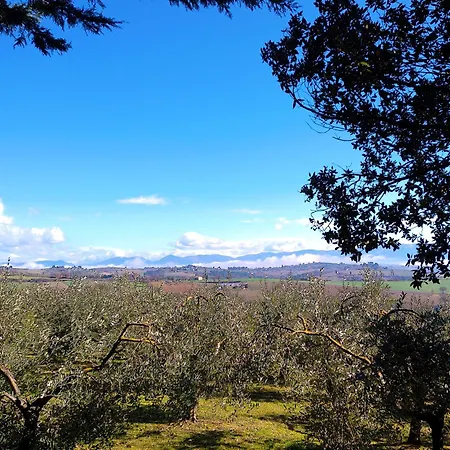 La Collina Dei Venti * Gualdo Cattaneo