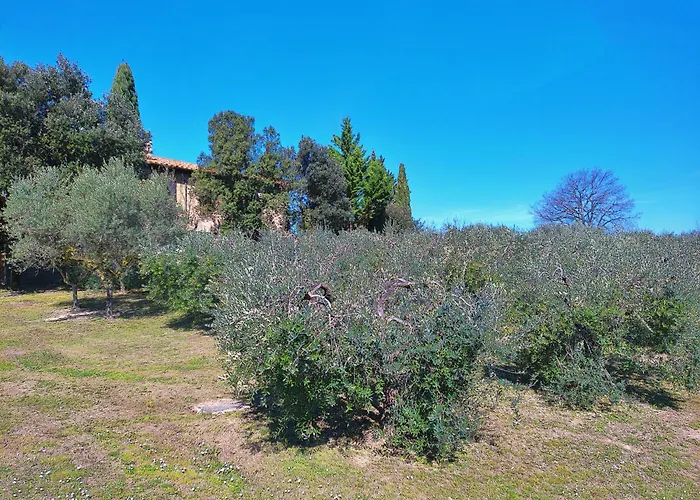 Alojamento de Acomodação e Pequeno-almoço La Collina Dei Venti Gualdo Cattaneo