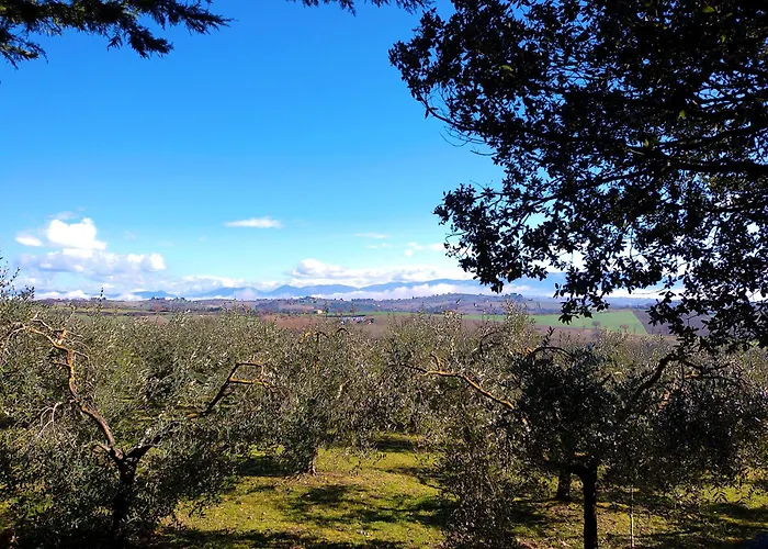 La Collina Dei Venti Alojamento de Acomodação e Pequeno-almoço 4*